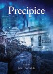 Precipice book cover