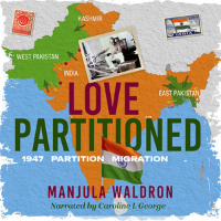 Love Partitioned audiobook image