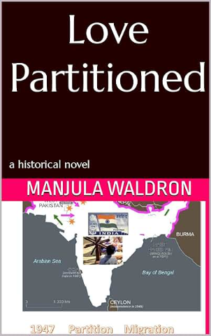 Love Partitioned book cover